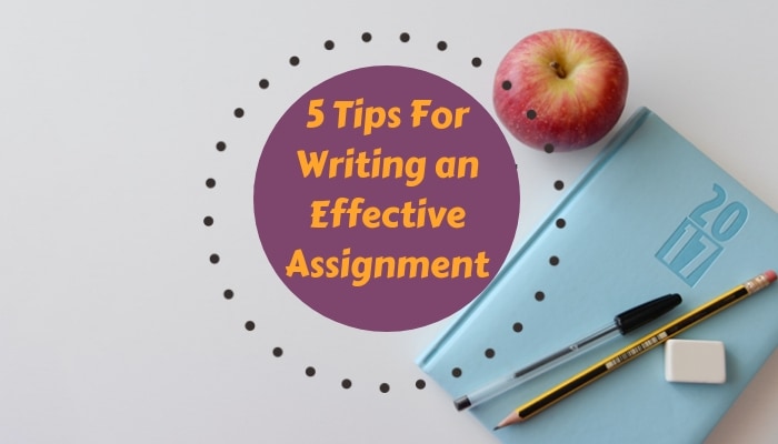 Best Tips for Assignment Writing